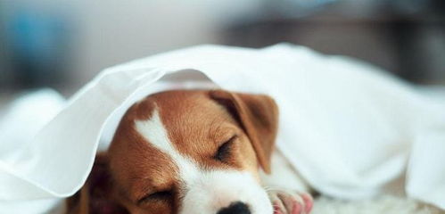 網(wǎng)購要知道避雷, 5類 商品去實(shí)體店買更好,不要貪便宜而吃虧