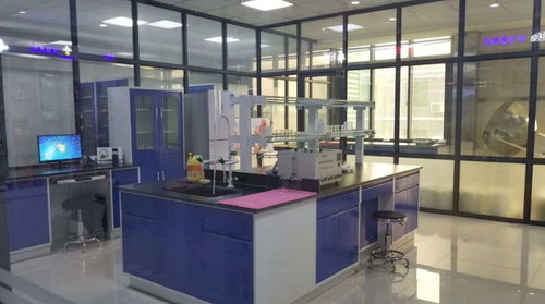 走進寵物產(chǎn)業(yè)基地 南和 走進伊薩工廠