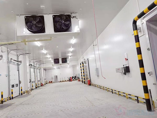 正常情況下農產品冷凍庫建造多大面積夠用?